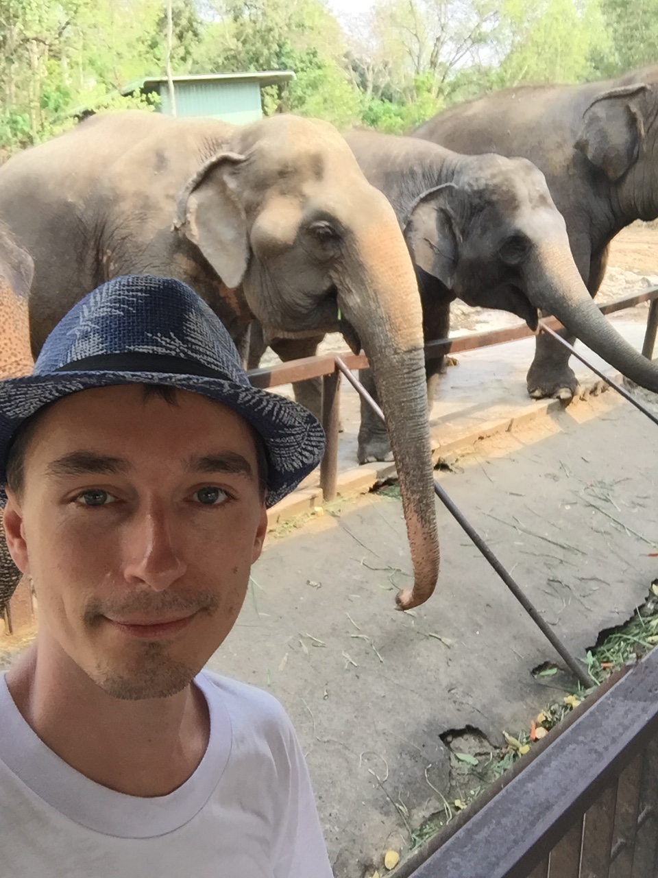 Зоопарк Кхао кхео ВИП+лемуры